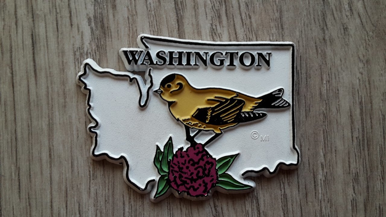 usa31